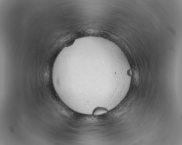 X0000110980668200907101411