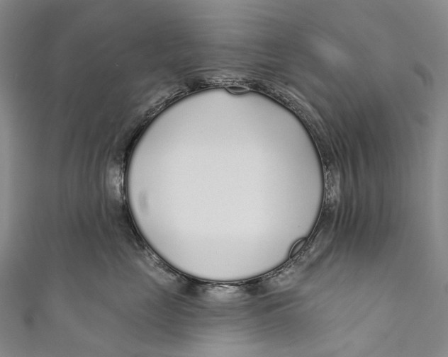 X0000110980669200907101411