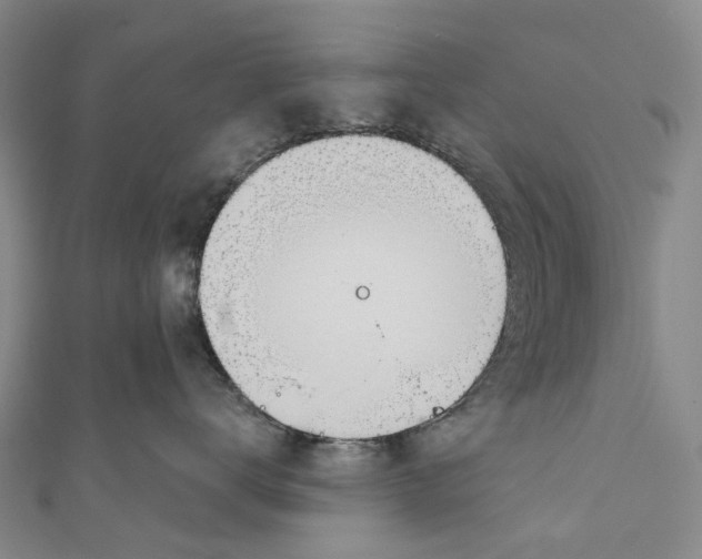 X0000110980672200907101411