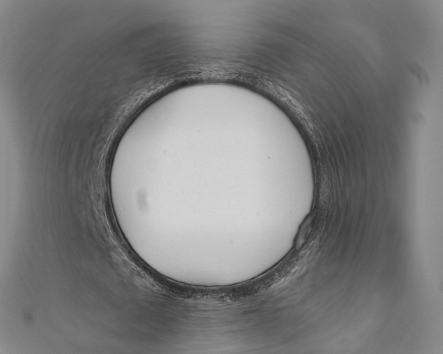 X0000110980673200907101411