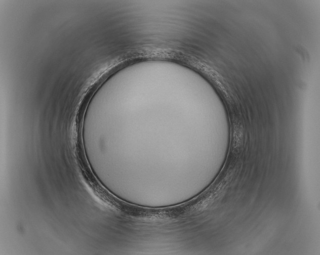 X0000110980674200907101411