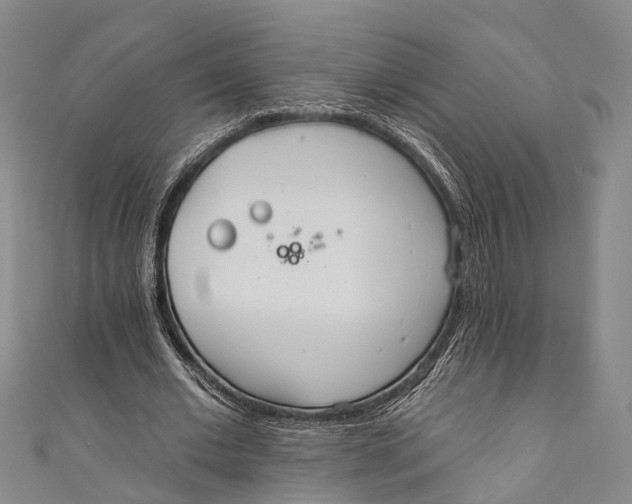 X0000110980677200907101411