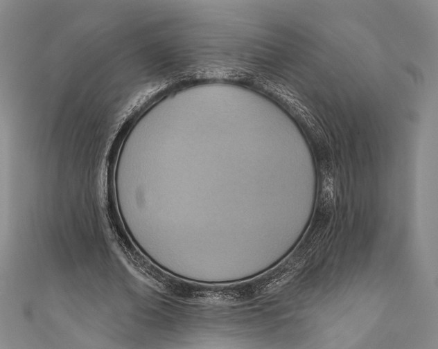 X0000110980678200907101410