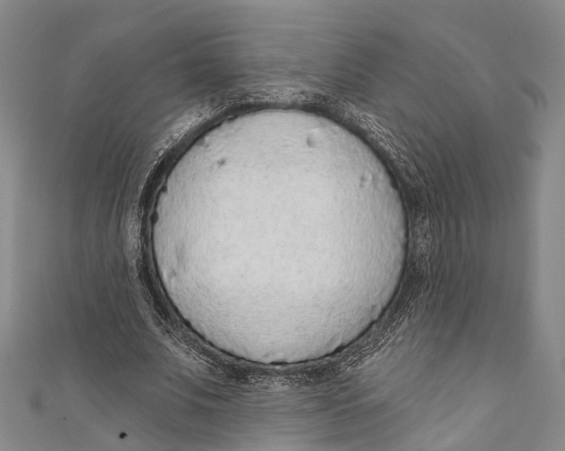 X0000110980679200907101410