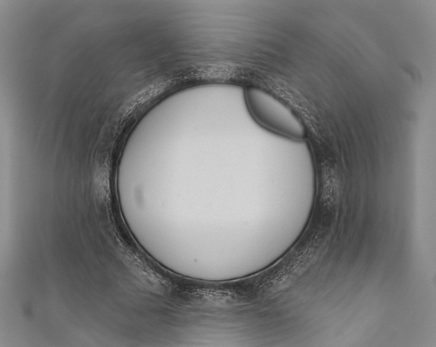 X0000110980681200907101410