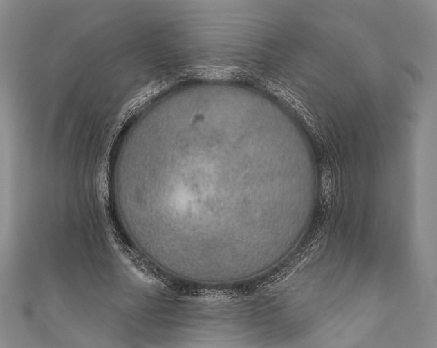 X0000110980682200907101410