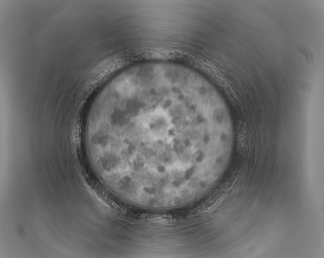 X0000110980683200907101410