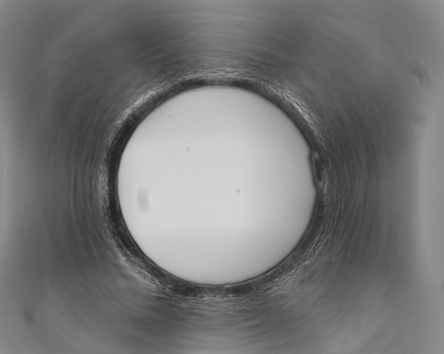 X0000110980684200907101410