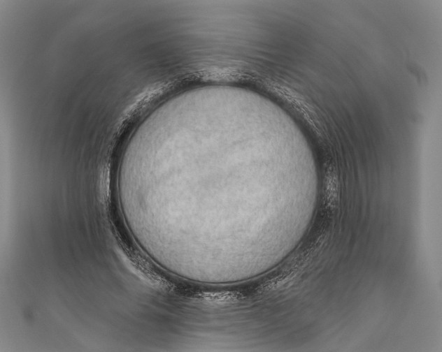 X0000110980686200907101410