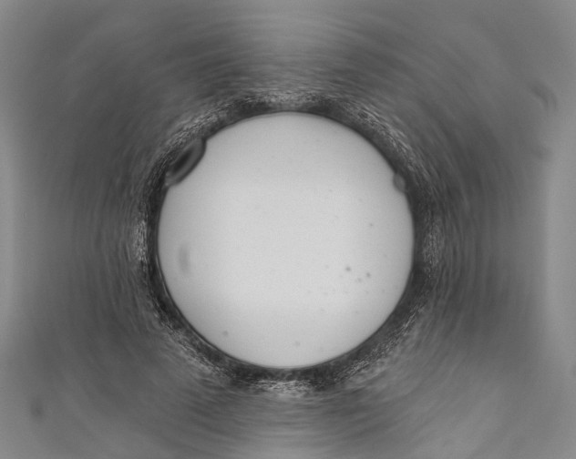 X0000110980689200907101410