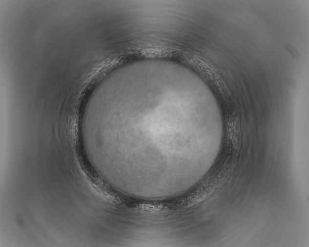 X0000110980690200907101410