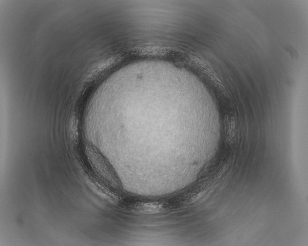 X0000110980692200907101410