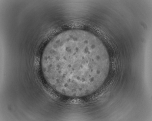 X0000110980695200907101410