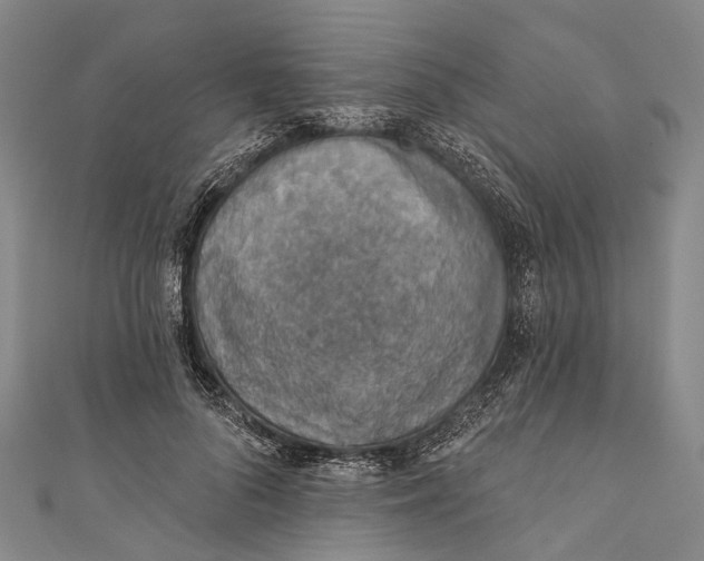 X0000110980696200907101410