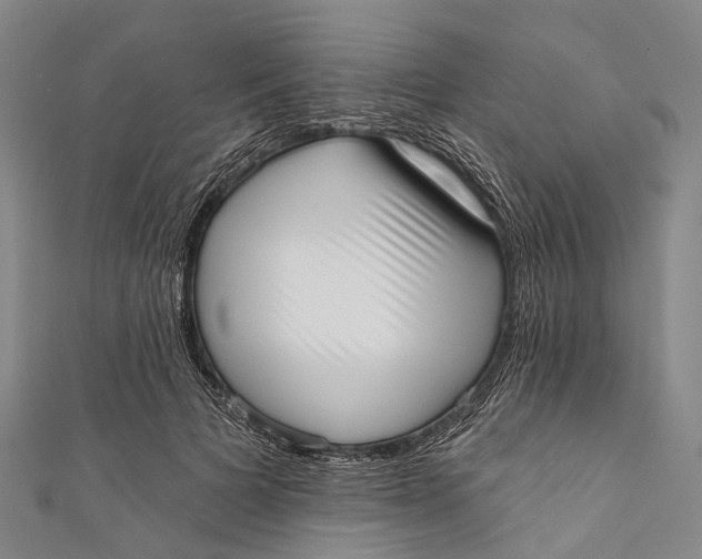 X0000110980697200907101410