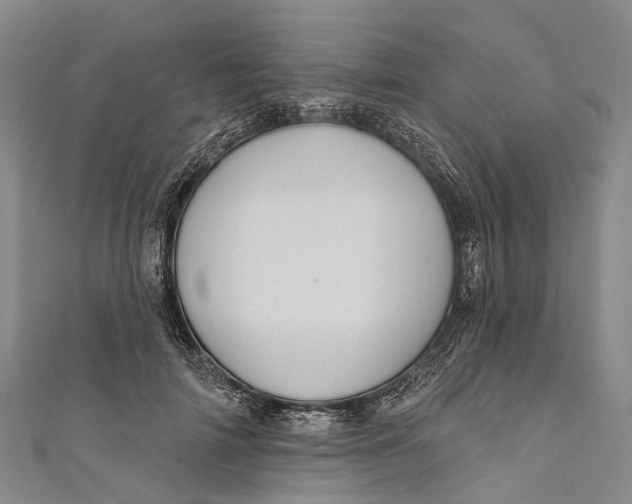 X0000110980698200907101410