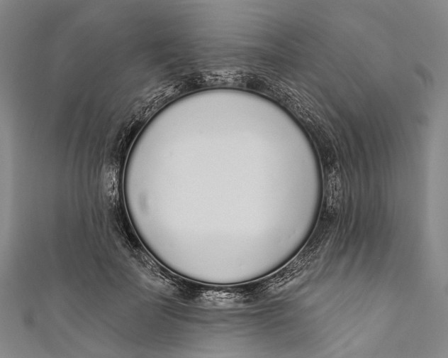 X0000110980699200907101410