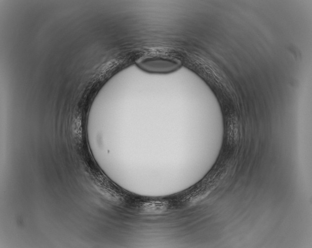 X0000110980700200907101410