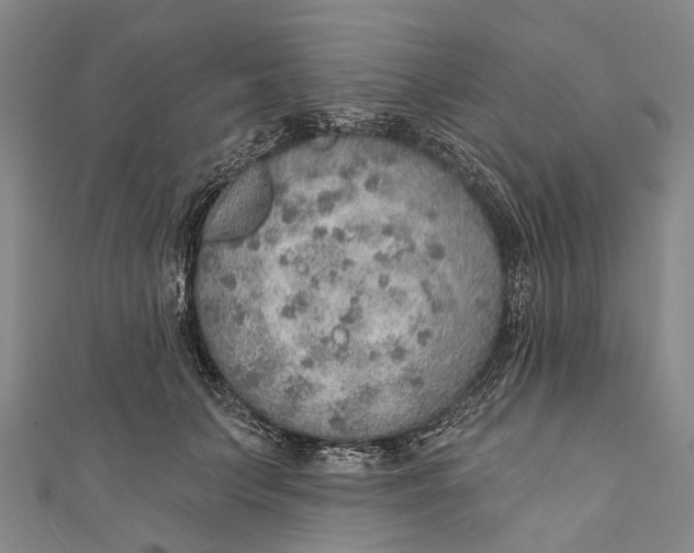 X0000110980703200907101410