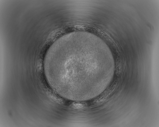 X0000110980706200907101410