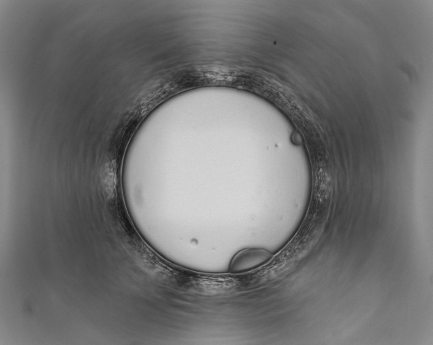 X0000110980707200907101410