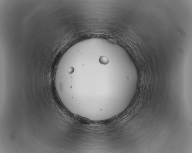 X0000110980708200907101410