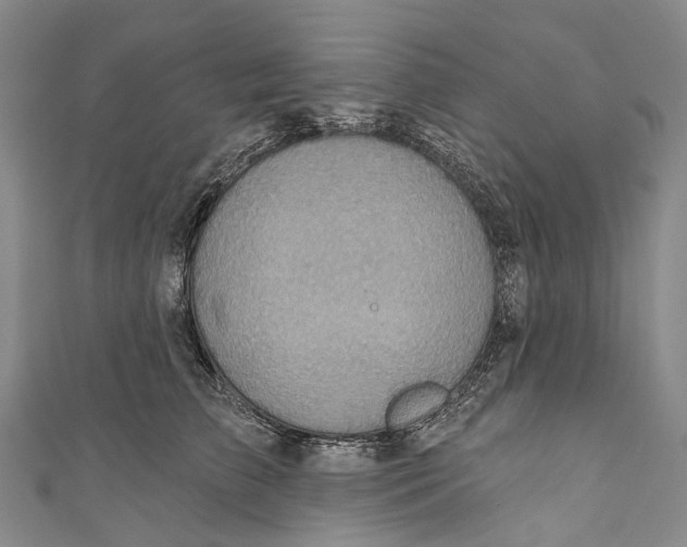 X0000110980709200907101410