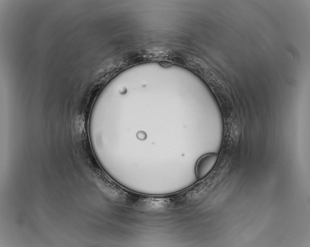 X0000110980711200907101410