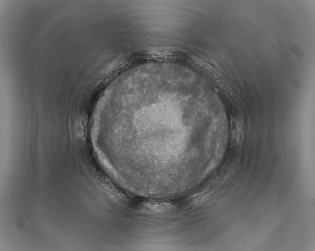 X0000110980712200907101410