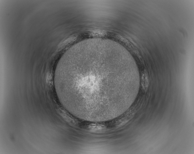 X0000110980714200907101410