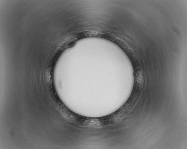 X0000110980715200907101410