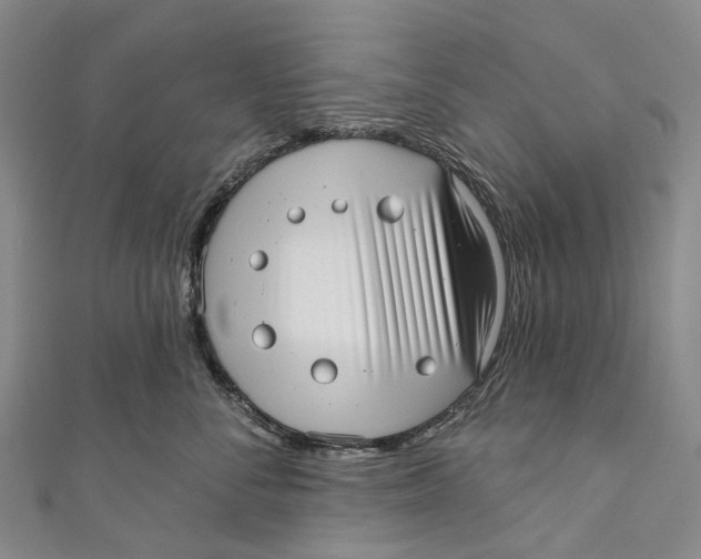 X0000110980716200907101410