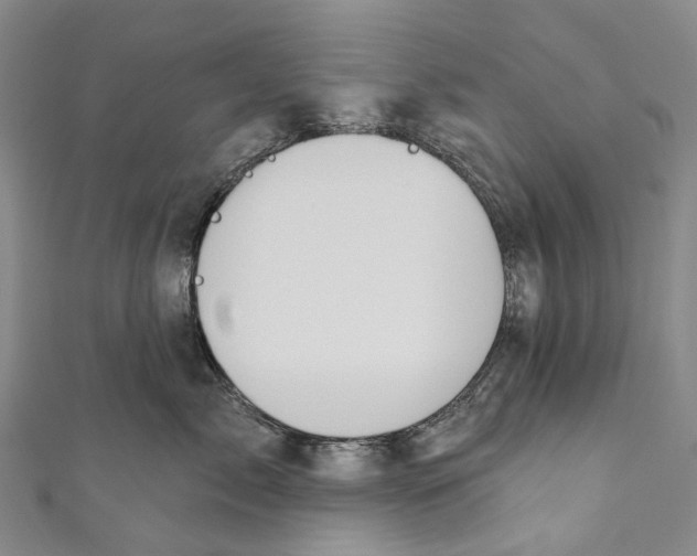 X0000110980717200907101410