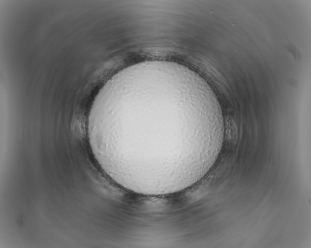 X0000110980718200907101410