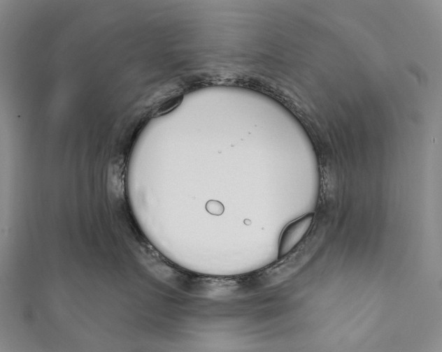 X0000110980719200907101410