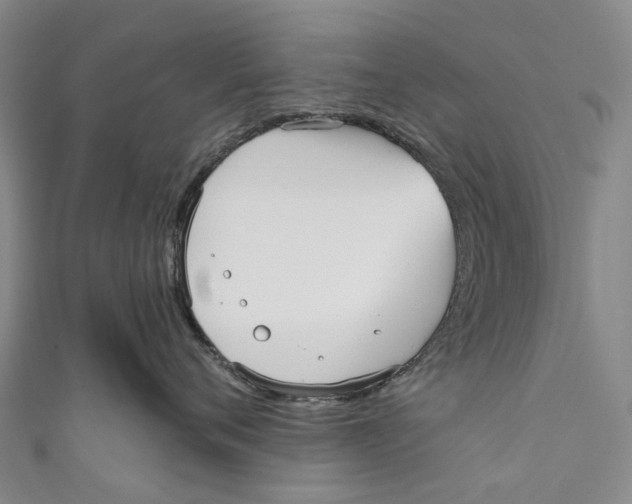 X0000110980720200907101410