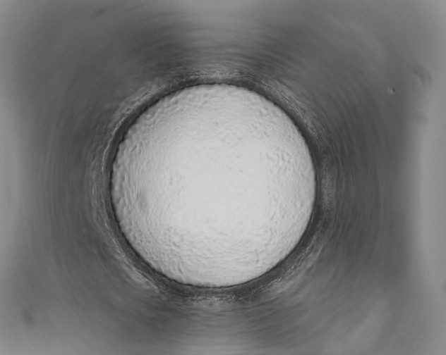 X0000110980721200907101409