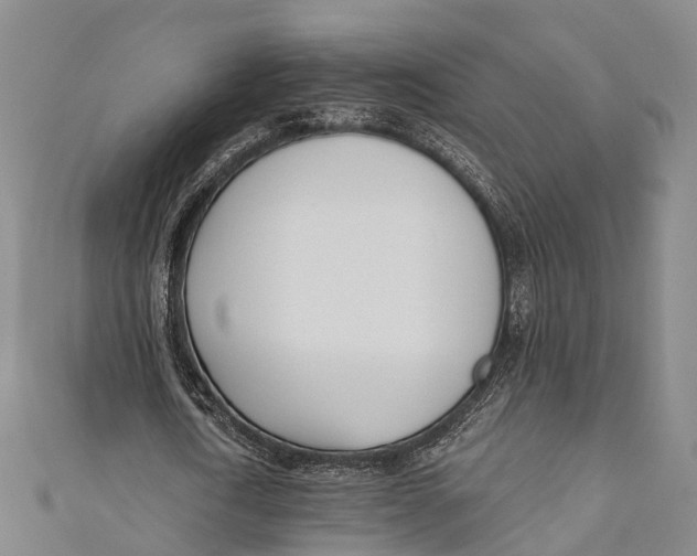 X0000110980722200907101409