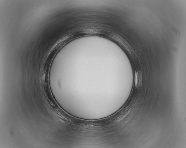 X0000110980723200907101409