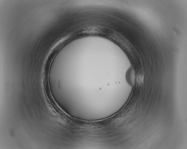 X0000110980724200907101409