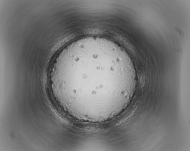 X0000110980725200907101409