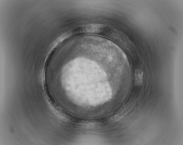 X0000110980726200907101409