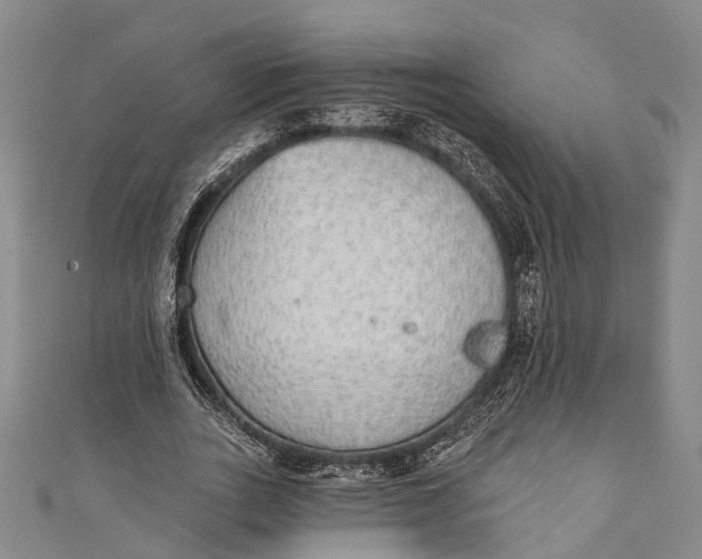 X0000110980727200907101409