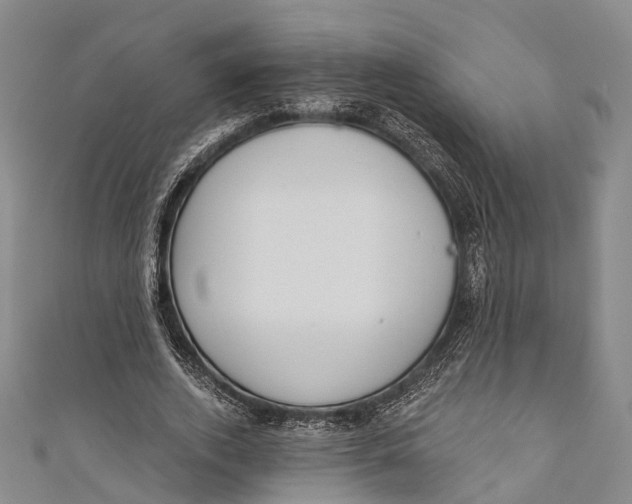 X0000110980728200907101409