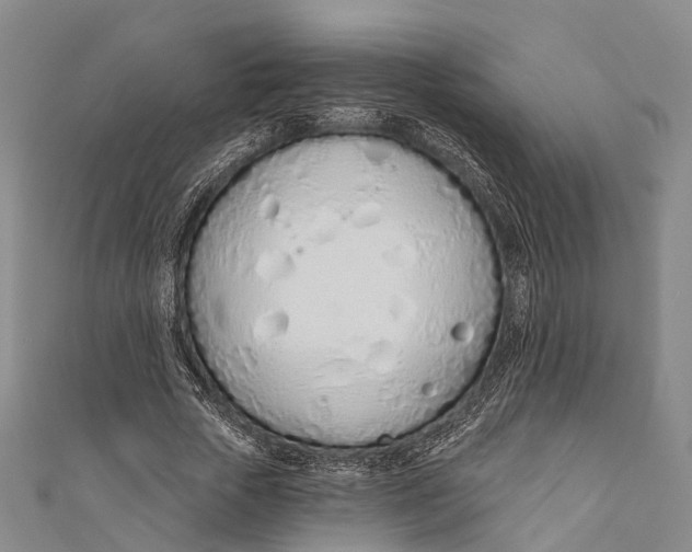 X0000110980729200907101409