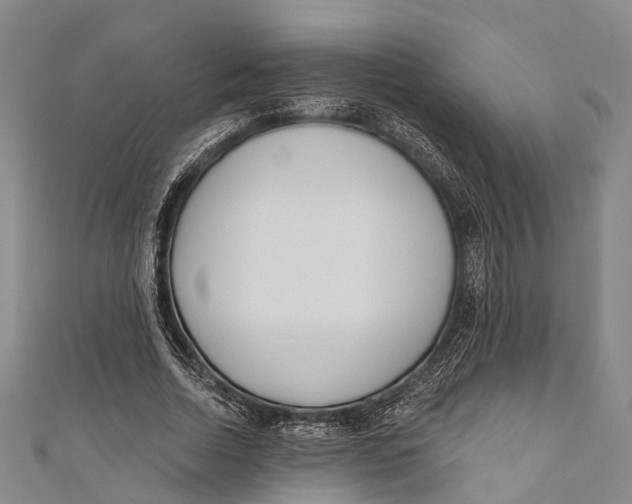 X0000110980730200907101409