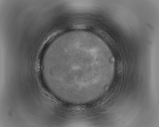 X0000110980731200907101409