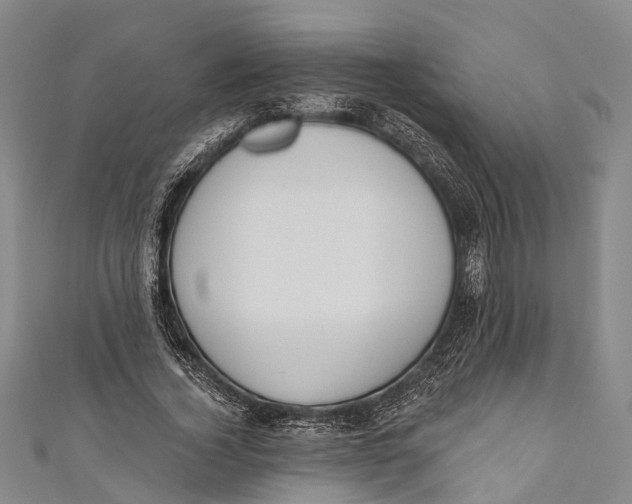 X0000110980732200907101409