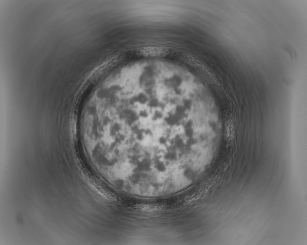 X0000110980733200907101409