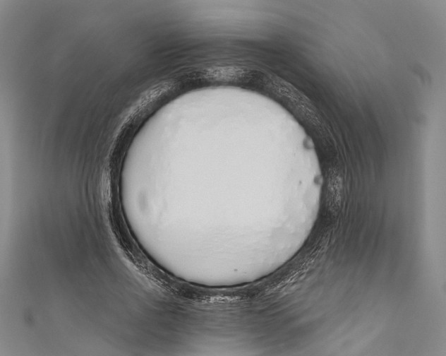 X0000110980734200907101409